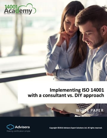 Implementing_ISO_14001_with_consultant_vs_DIY_approach_EN.jpg